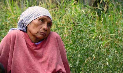 Caso 11.713, Comunidades Indígenas Enxet-Lamenxay y otro, Paraguay