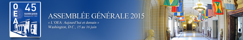 45 Session ordinaire de l’Assemblée générale de l’OEA - 2015